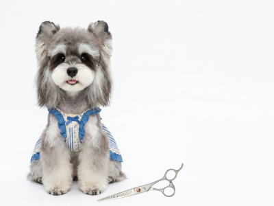 Professional dog grooming shear upgrade kit